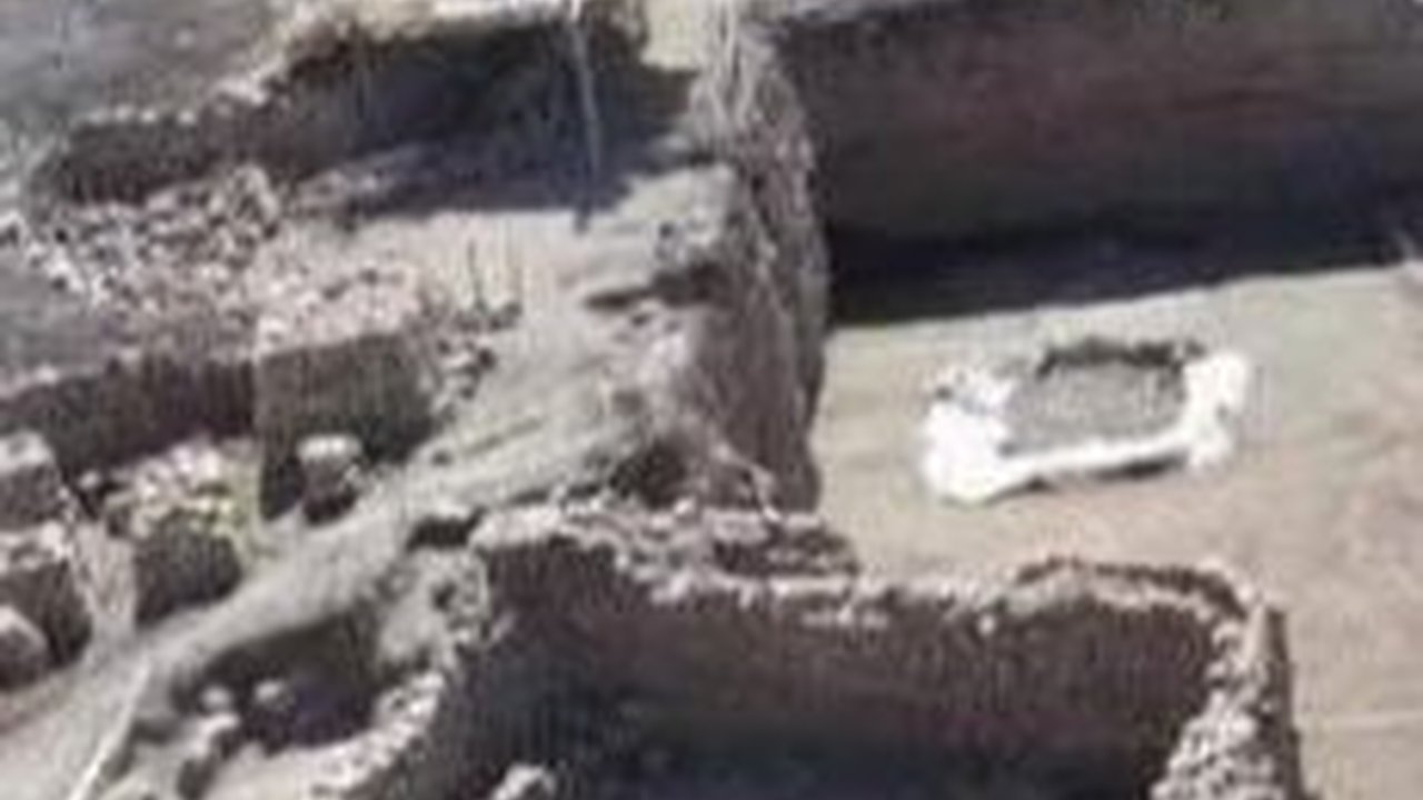 Bukan Kera atau Primata, 2.000 Tahun Lalu Hewan Ini Dianggap 'Hampir Seperti Manusia'