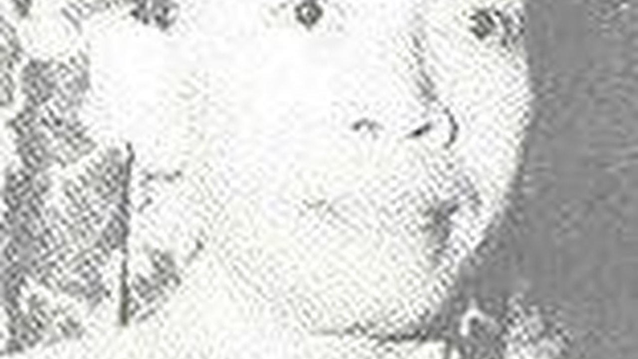 Sosok Mr. Assaat, Datuk Mudo yang Pernah Menjabat Sebagai Presiden RI Selama 9 Bulan