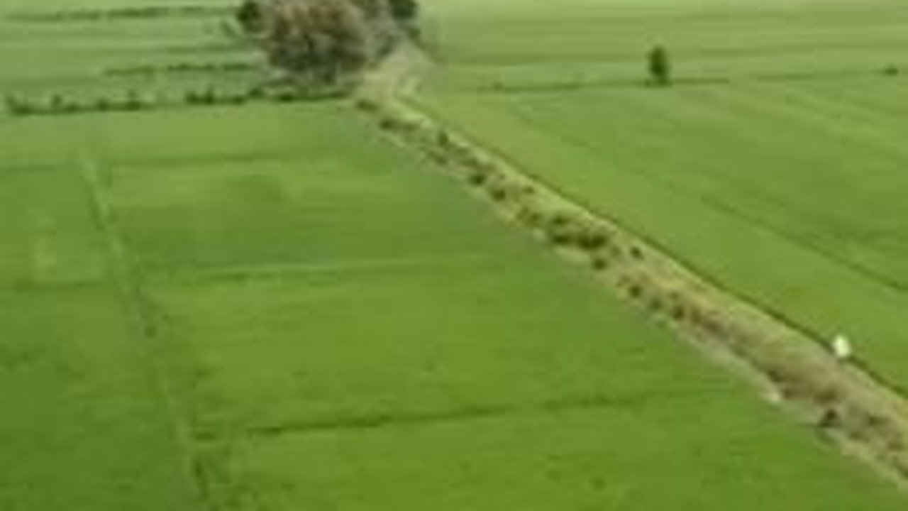 Sokong Berproduksi, Kementan Ajak Petani Terus Manfaatkan KUR Pertanian