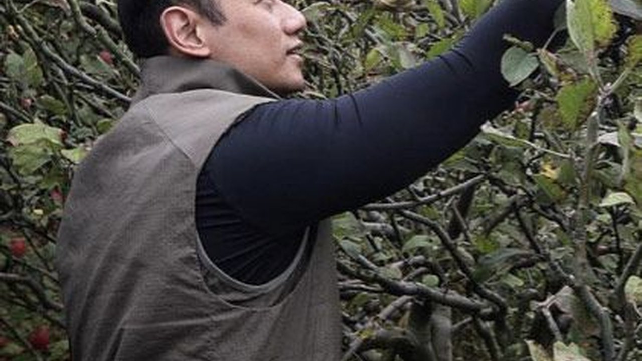 Anggukan Jokowi Kode Keras Demokrat Masuk Kabinet, AHY Unggah Foto soal Pertanian