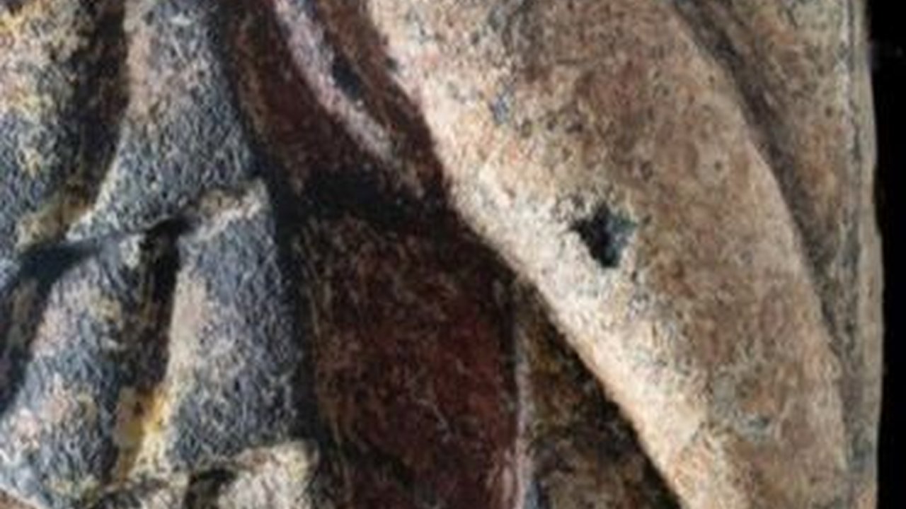 Gara-Gara Gempa, 'Kepala' Ular Raksasa Berusia 500 Tahun Muncul dari Bawah Gedung