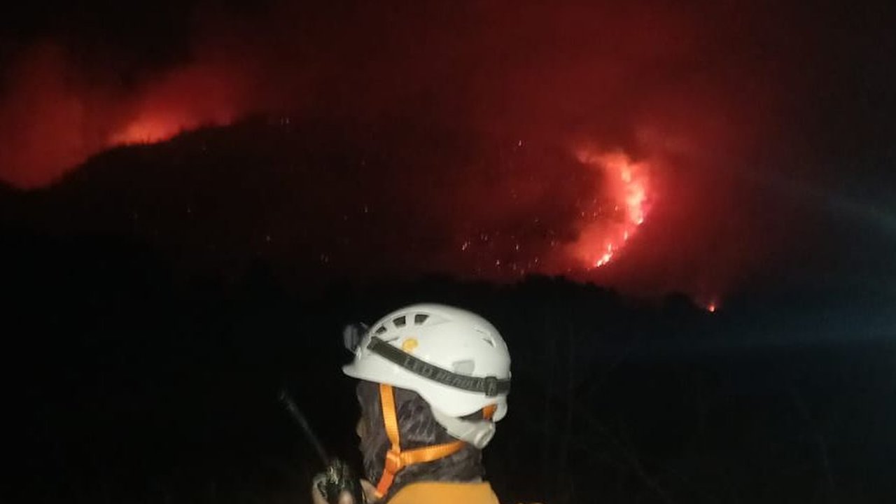 Potret Kerja Keras Petugas Berjibaku Padamkan Kobaran Api di Gunung Papandayan