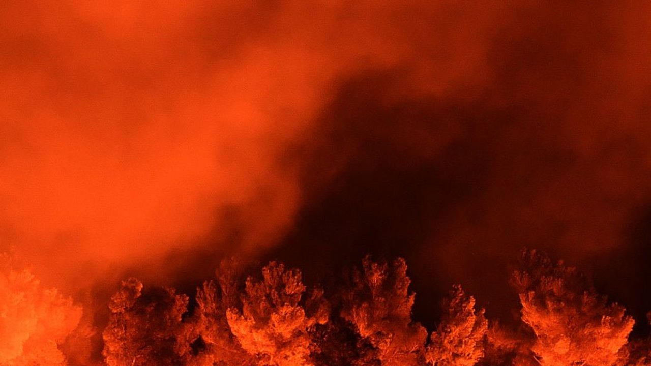 Ingin Lepaskan Kail Pancing yang Tersangkut Ranting, Pria Klaten Ini Nyalakan Api hingga Sebabkan 5 Hektare Hutan Terbakar