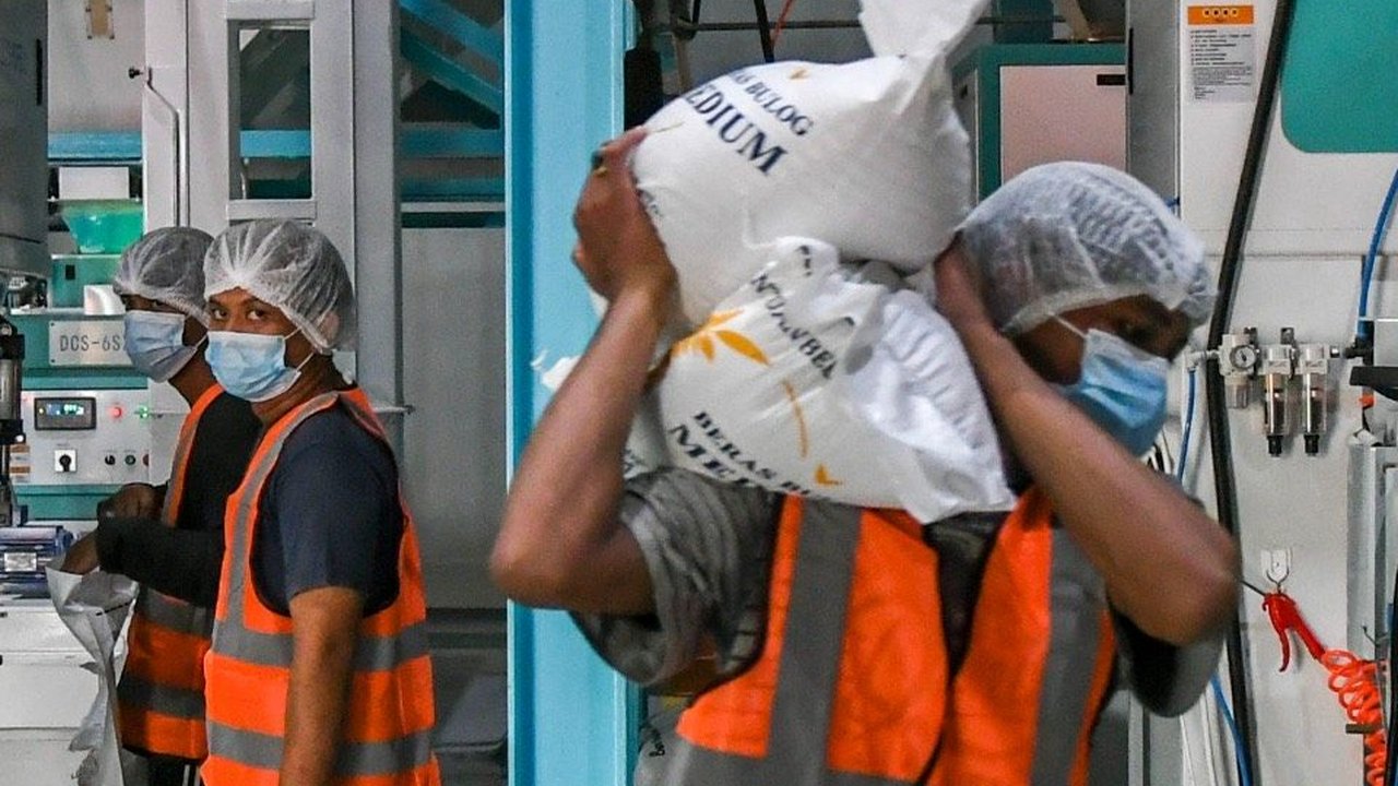 Bulog Kelola 24 Infrastruktur Pasca Panen, Lumbung Pangan Nasional Makin Kuat