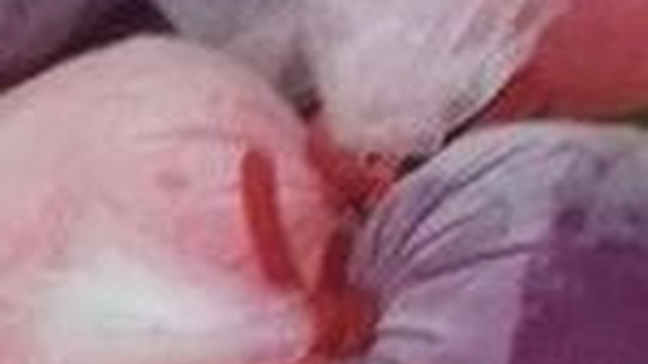 Resep Es Lilin untuk Dijual Rp1.000, Praktis dan Menguntungkan