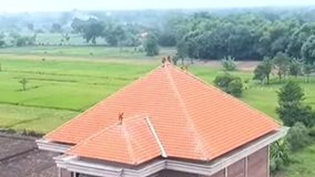 Mewah dan Megah di Pinggir Sawah, Ini Potret Rumah Baru Tasya Rosmala