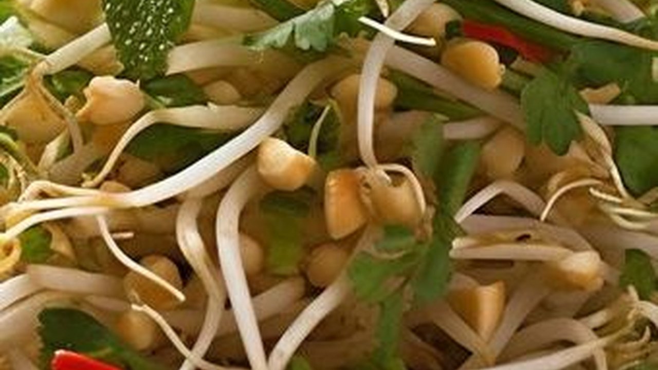 Makan Taoge dan Kesuburan, Mitos atau Fakta?