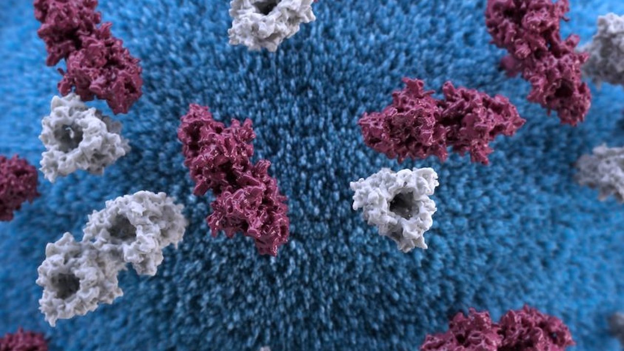 5 Cara Jaga Kesehatan yang Bisa Diterapkan Penderita Autoimun
