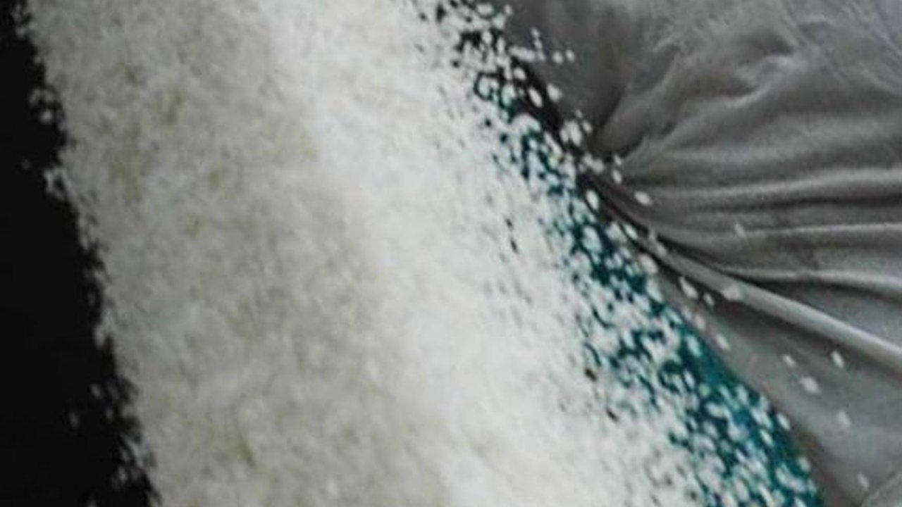 Produksi Surplus, Jokowi Minta Pemprov Lampung Bantu Amankan Stok Beras di Daerah Lain