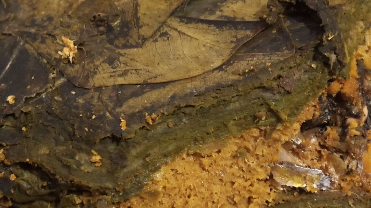 Mencicipi Lezatnya Pendap, Olahan Pepes Ikan yang Populer di Bengkulu