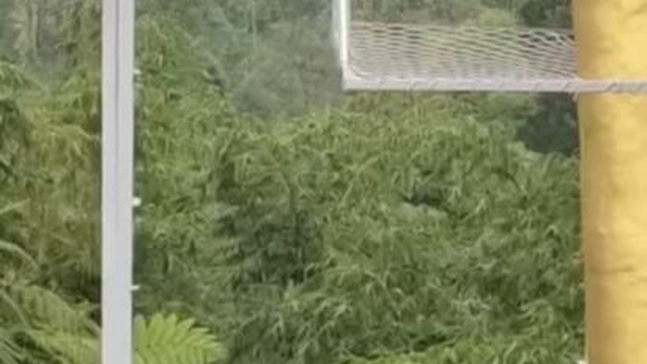 VIDEO: Terkuak Fakta Ngeri Jembatan Kaca Banyumas Pecah Makan Korban Dua Tewas