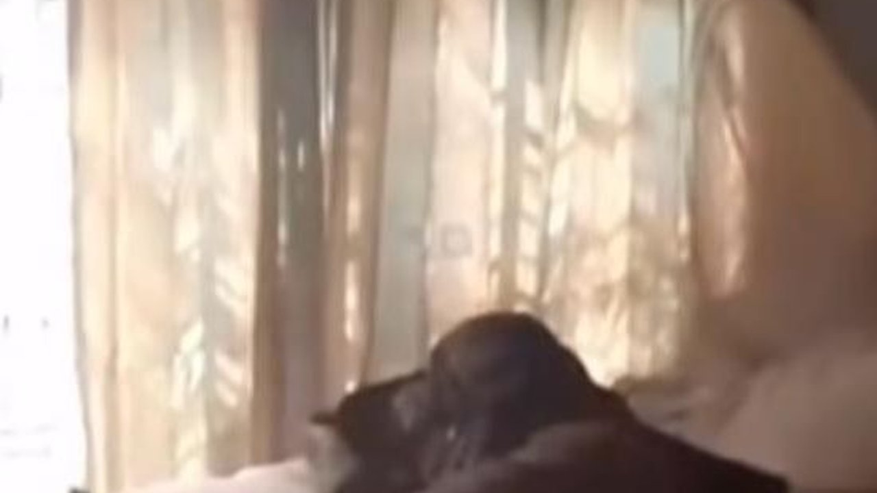 Kocak! Maling Ketiduran Kaget Dibangunin Polisi: Numpang Tidur Pak