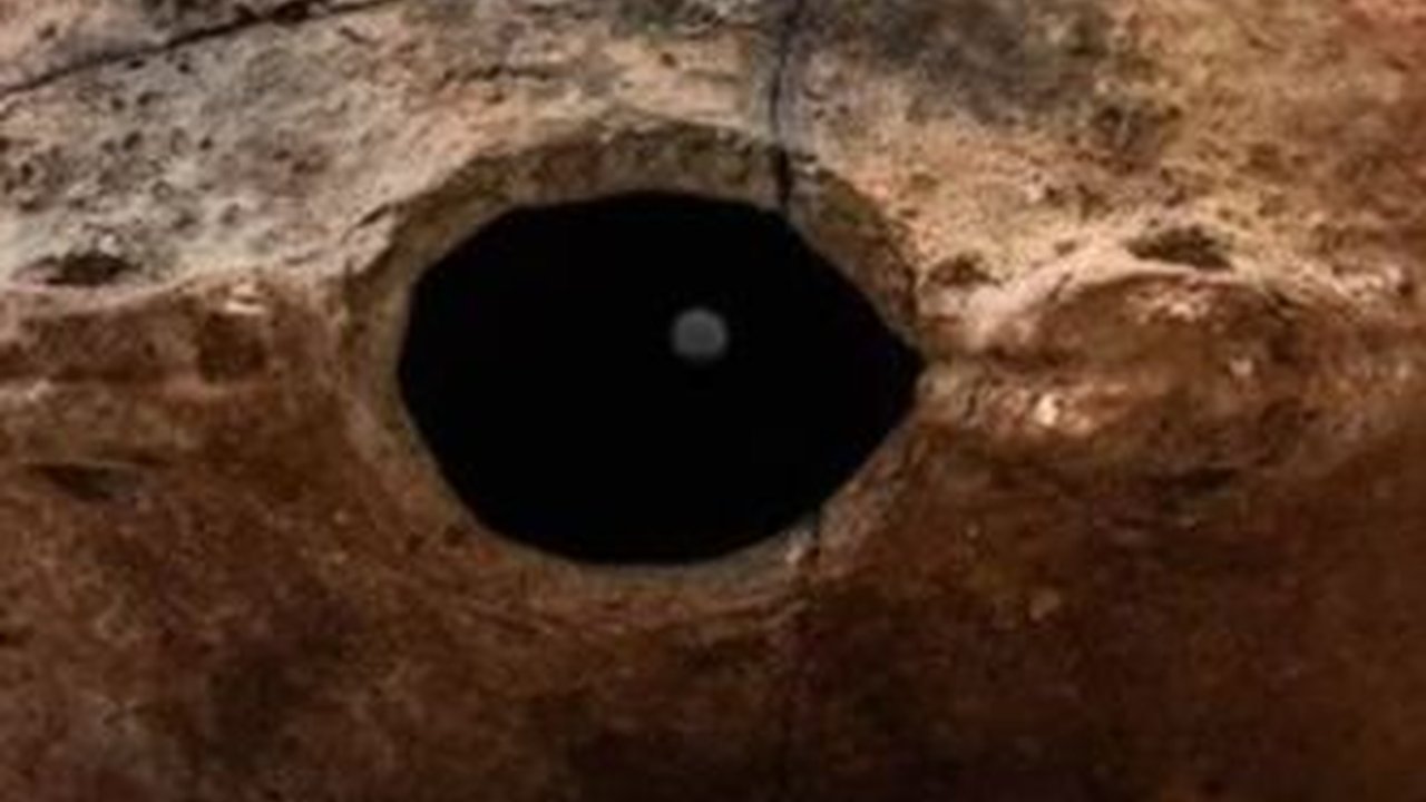 Harta Karun dari Zaman Pra-Islam Ditemukan di UEA, Beratnya 9 Kilogram dan Tersimpan Dalam Wadah Tembikar