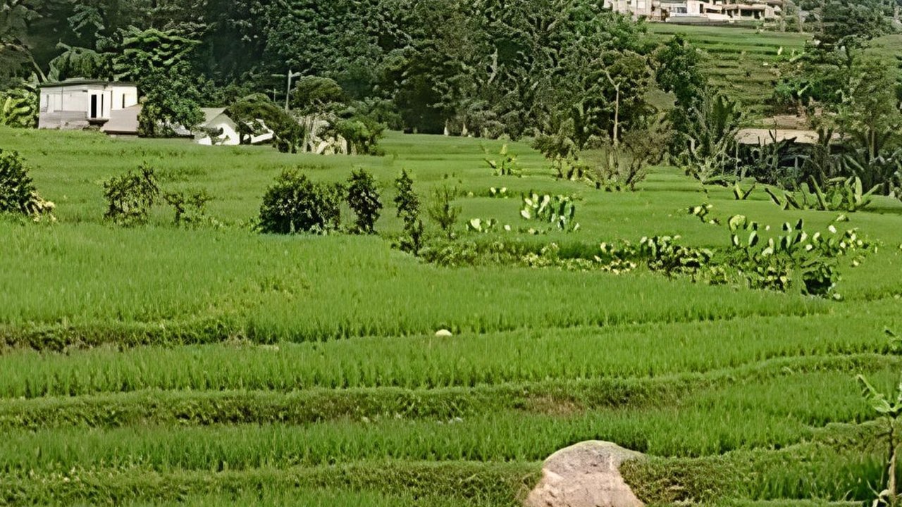 Mengunjungi Desa Wisata Ciasihan di Bogor, Punya 10 Curug yang Indah sampai Oleh-Oleh Peci dari Bambu