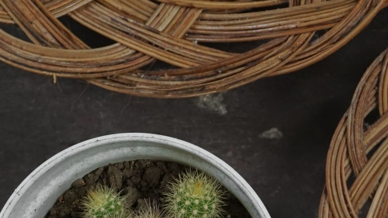 Resep Rendang Jengkol Sederhana, Lezat dan Mudah Dibuat