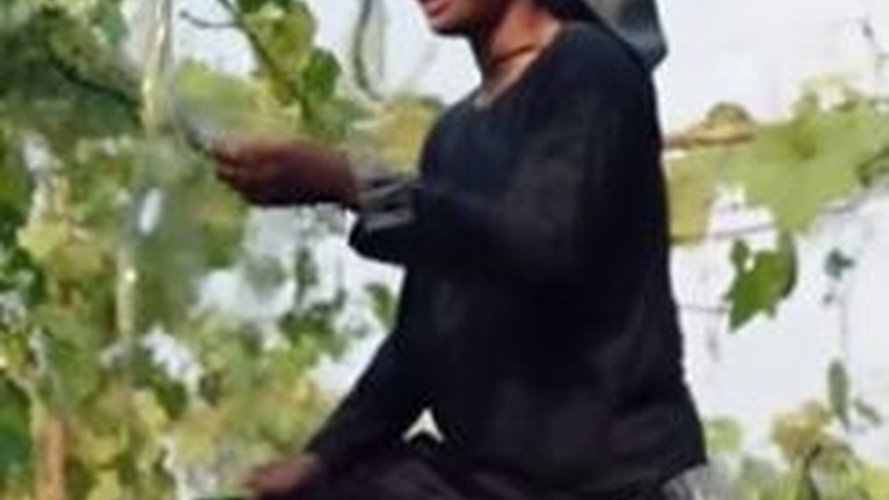 Usia Baru 17 Tahun, Remaja Ini Sukses Jualan Sayur Omzetnya Ratusan Juta Rupiah Perbulan