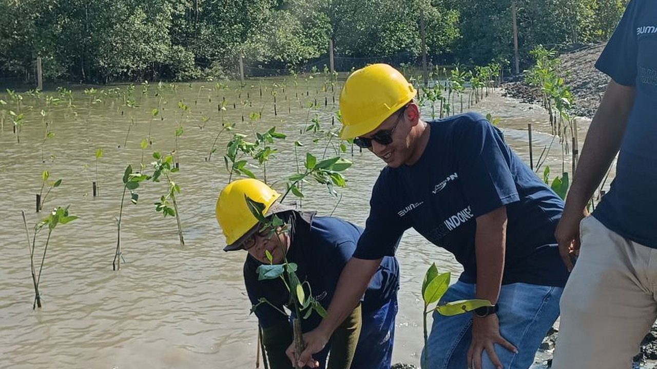 PNM Gandeng PT Waskita Beton Precast Tanam Mangrove dan Beri Akses Air Bersih