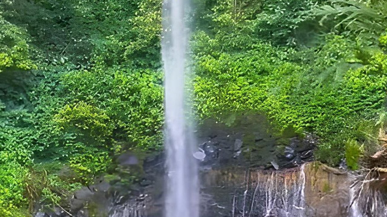 Merasakan Keindahan Curug Dua Cipederesi, Surga Tersembunyi di Tengah Hutan Gunung Galunggung