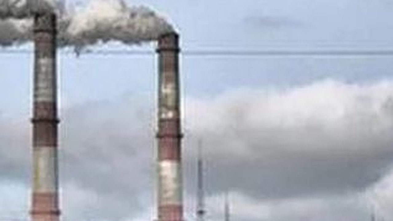 Penyerapan Besar, Potensi Perdagangan Karbon di Indonesia Capai Rp350 Triliun