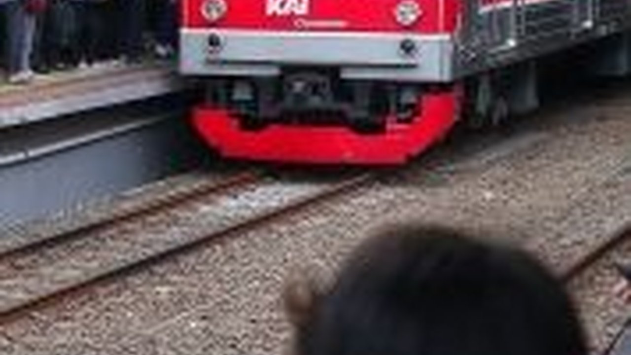 Kecepatan KRL Ditingkatkan, Mulai Besok Jakarta-Bogor Hanya Satu Setengah Jam