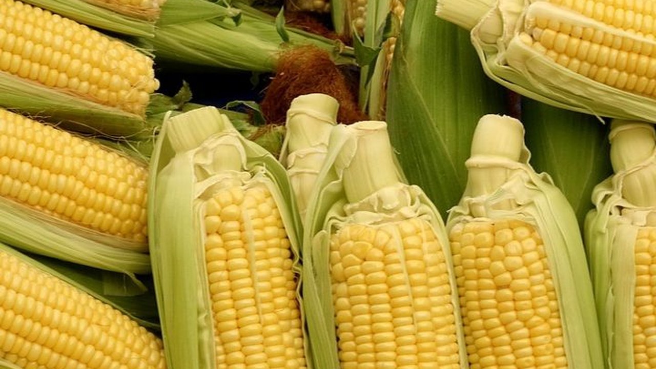 Resep Es Jagung Hawai Viral, Minuman Manis Menyegarkan