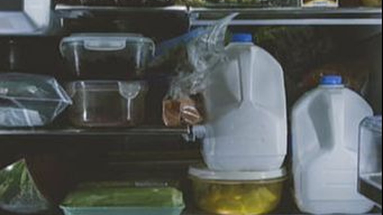 Tips Mencegah Kontaminasi Silang pada Makanan, Jaga Makanan tetap Segar