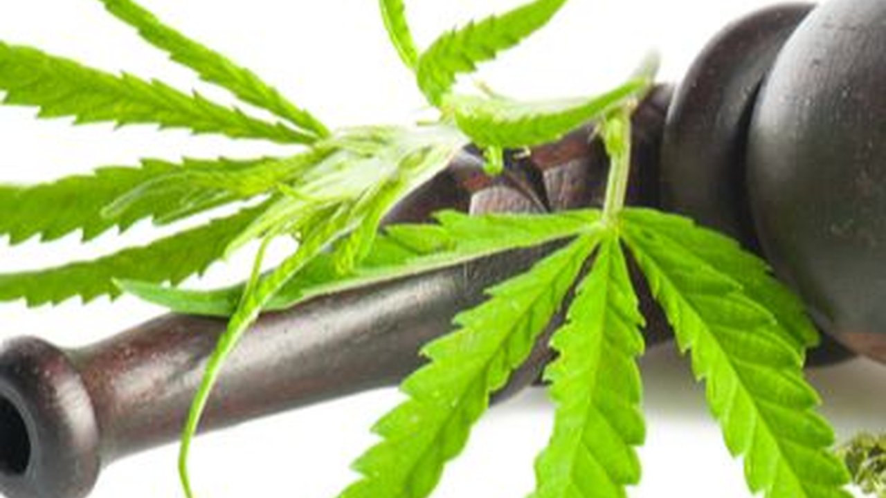 60 Siswa SD di Jamaika Dilarikan ke Rumah Sakit Setelah Makan Permen Ganja