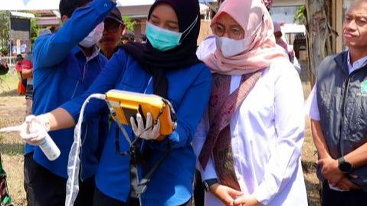 Program Ini Kerek Produktivitas Sapi Banyuwangi