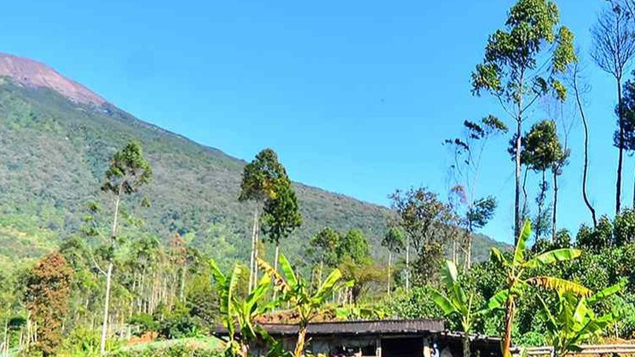 Industri SKT di Tanah Air Serap Banyak Tenaga Kerja dan Beri Efek Ganda Bagi Perekonomian