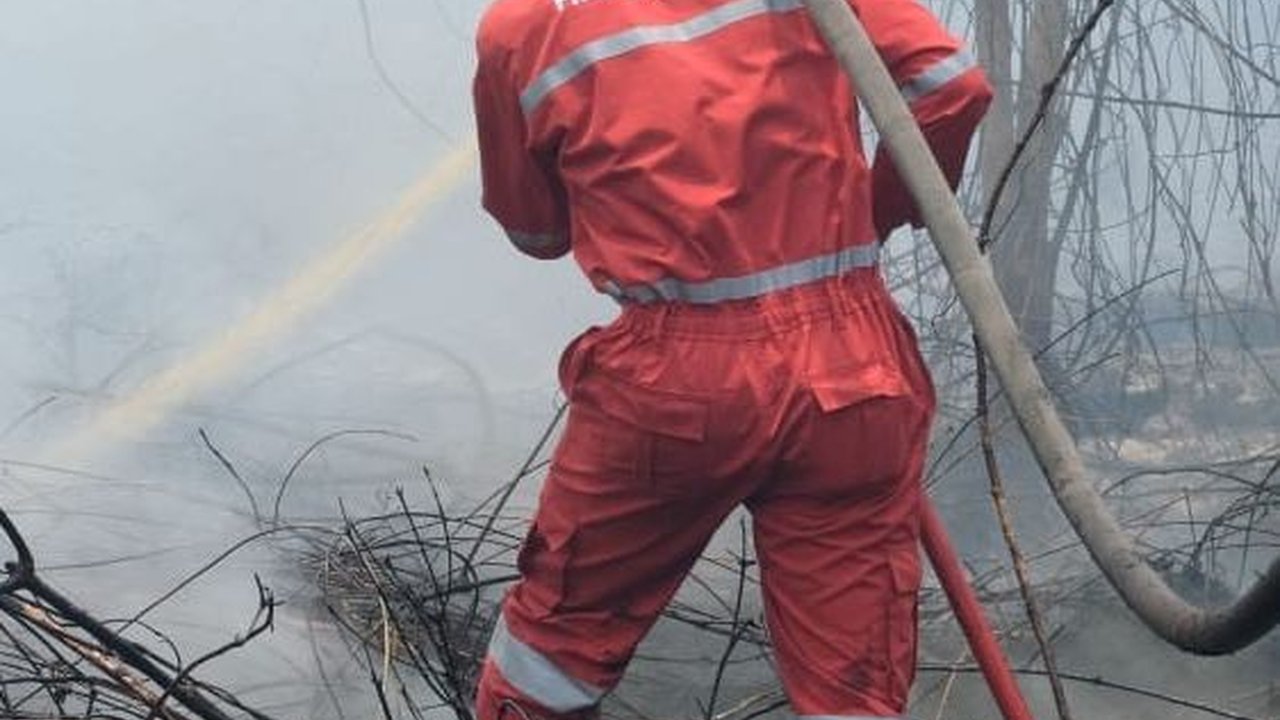 Pertamina Group Turunkan 200 Personel Lebih untuk Bantu Atasi Karhutla