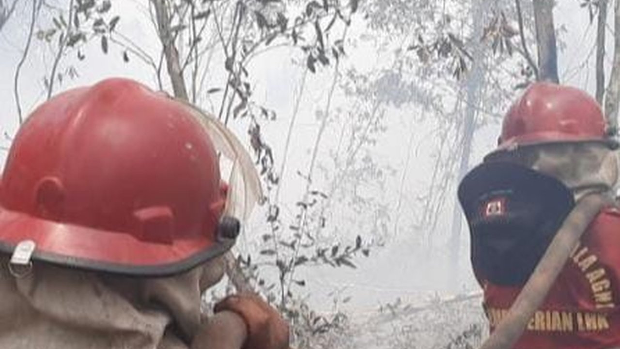 Karhutla di Kalsel Sebabkan Kasus Ispa Meningkat, Tim Gabungan Diturunkan