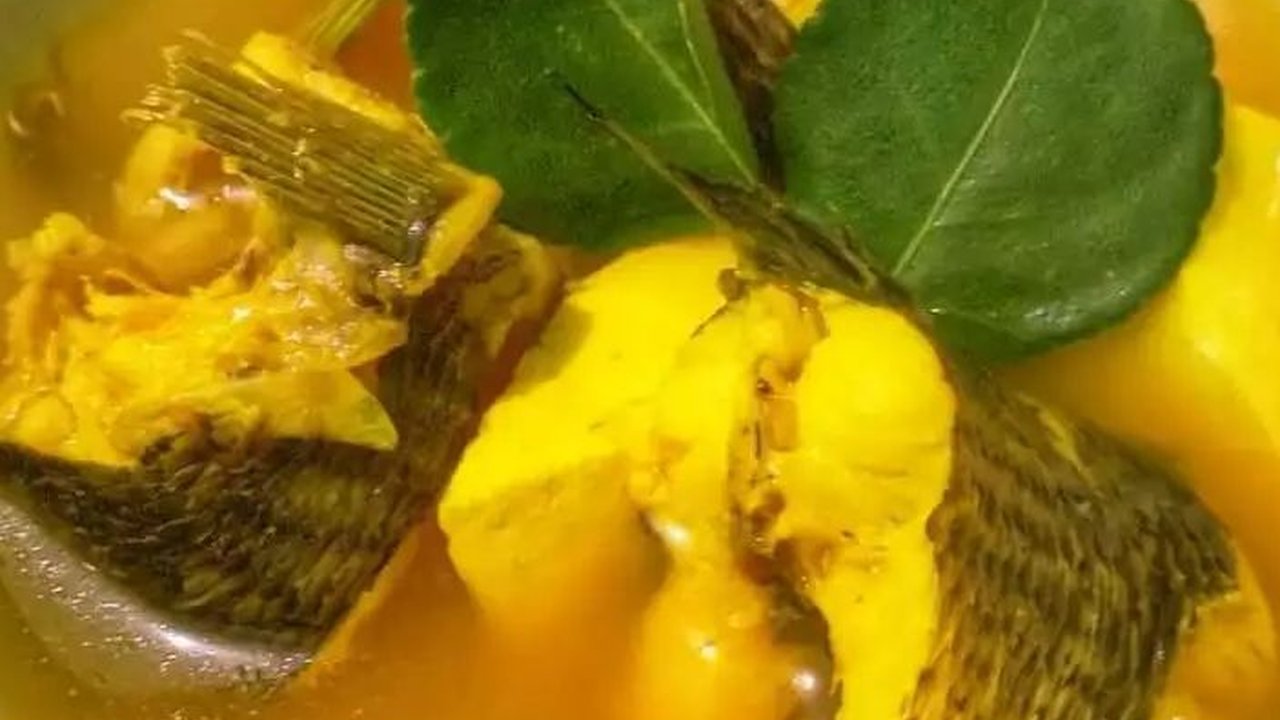 8 Resep Olahan Ikan Gabus Aneka Masakan Paling Mudah & Lezat Cocok Dicoba di Rumah