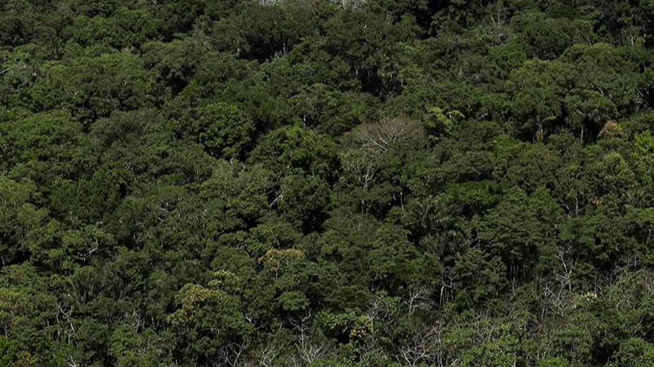 10.000 Situs Arkeologi Masih Tersembunyi di Hutan Amazon, Ada Benteng Sampai Desa Kuno
