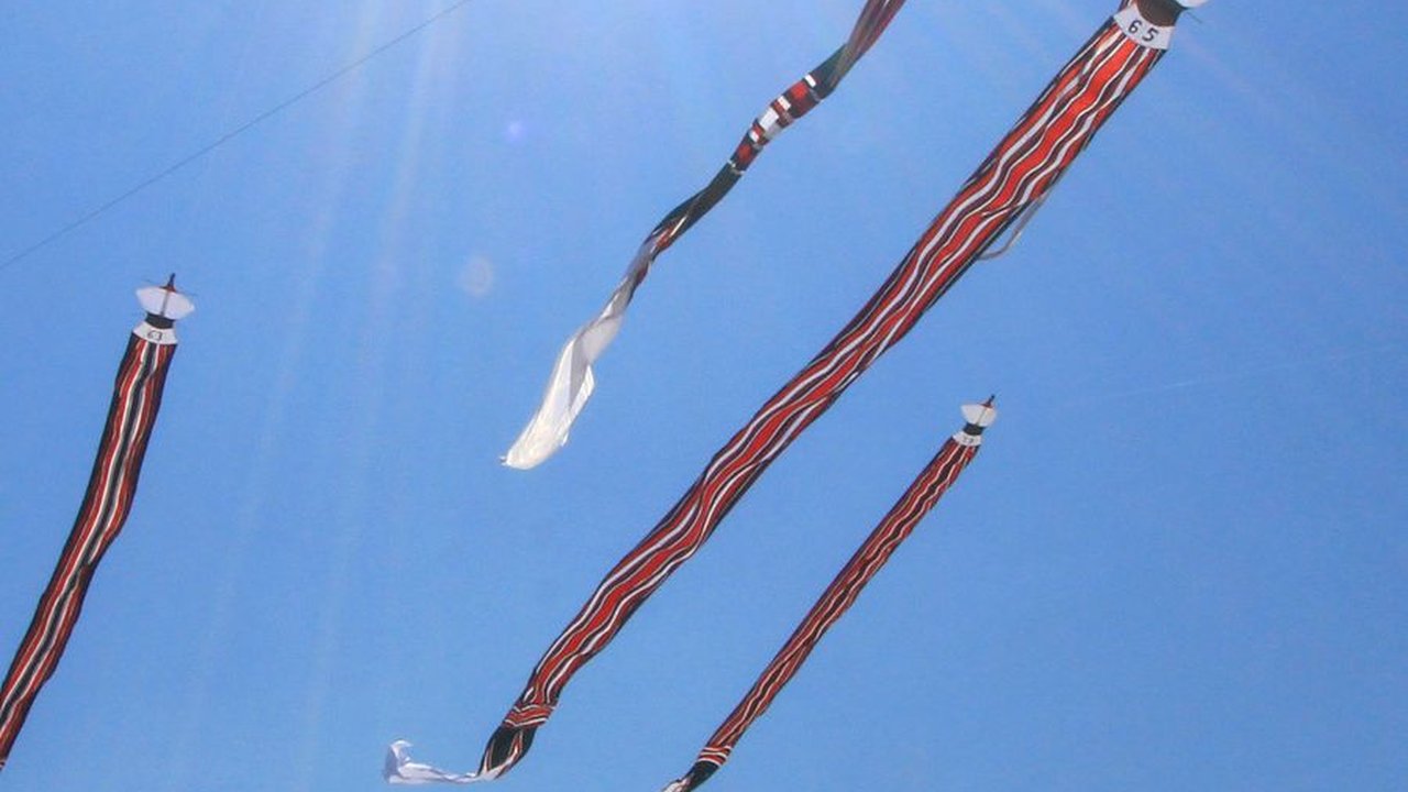 Pemprov Bali Minta Masyarakat Tidak Terbangkan Layang-layang Selama KTT AIS