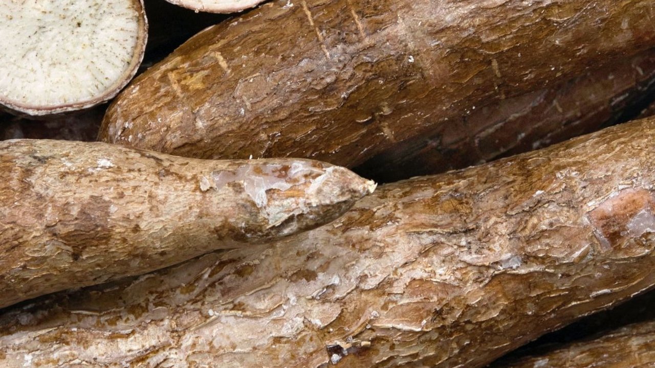 Harga Beras Mahal, Begini Kata Warga Ibu Kota yang Mulai Beralih ke Singkong