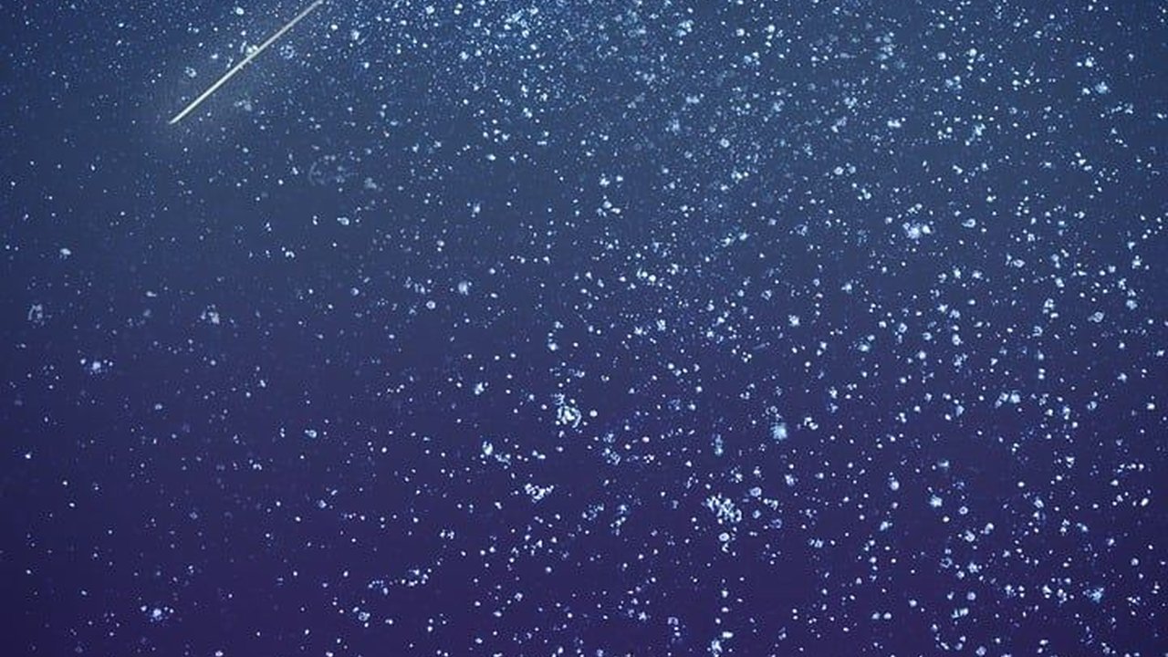 Jodoh Menurut Bulan dan Tanggal Lahir serta Zodiak, Menarik Diketahui