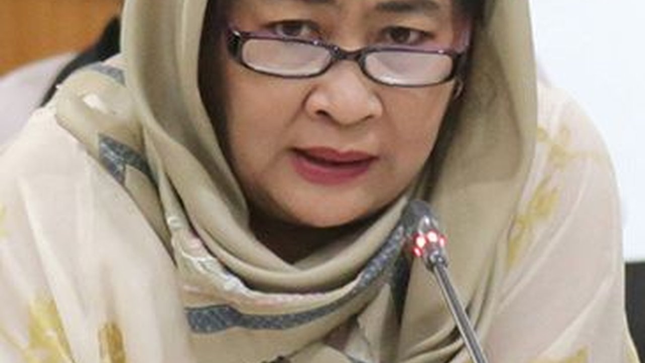 PAN Beberkan Alasan Terima Cinta Mega Eks PDIP yang Viral Main Judi Slot Jadi Kadernya