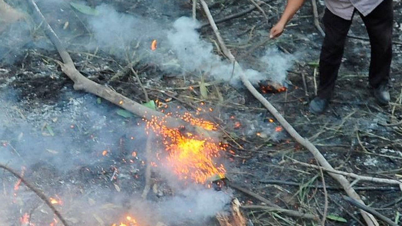 FOTO: Petaka Puntung Rokok Nyaris Membakar Habis Hutan Kota di Perumahan Batan Indah Tangerang Selatan