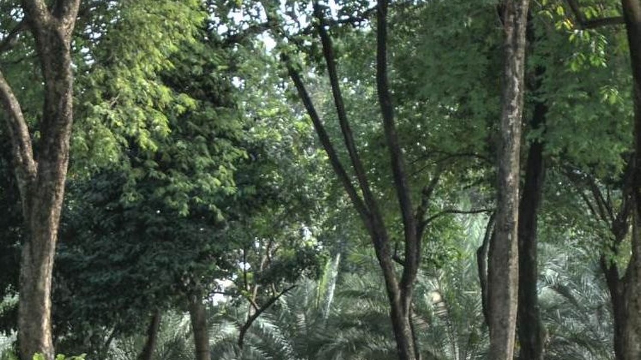 Intip Sejarah Lapangan Banteng, Kalian Udah Tau Belum Ternyata….