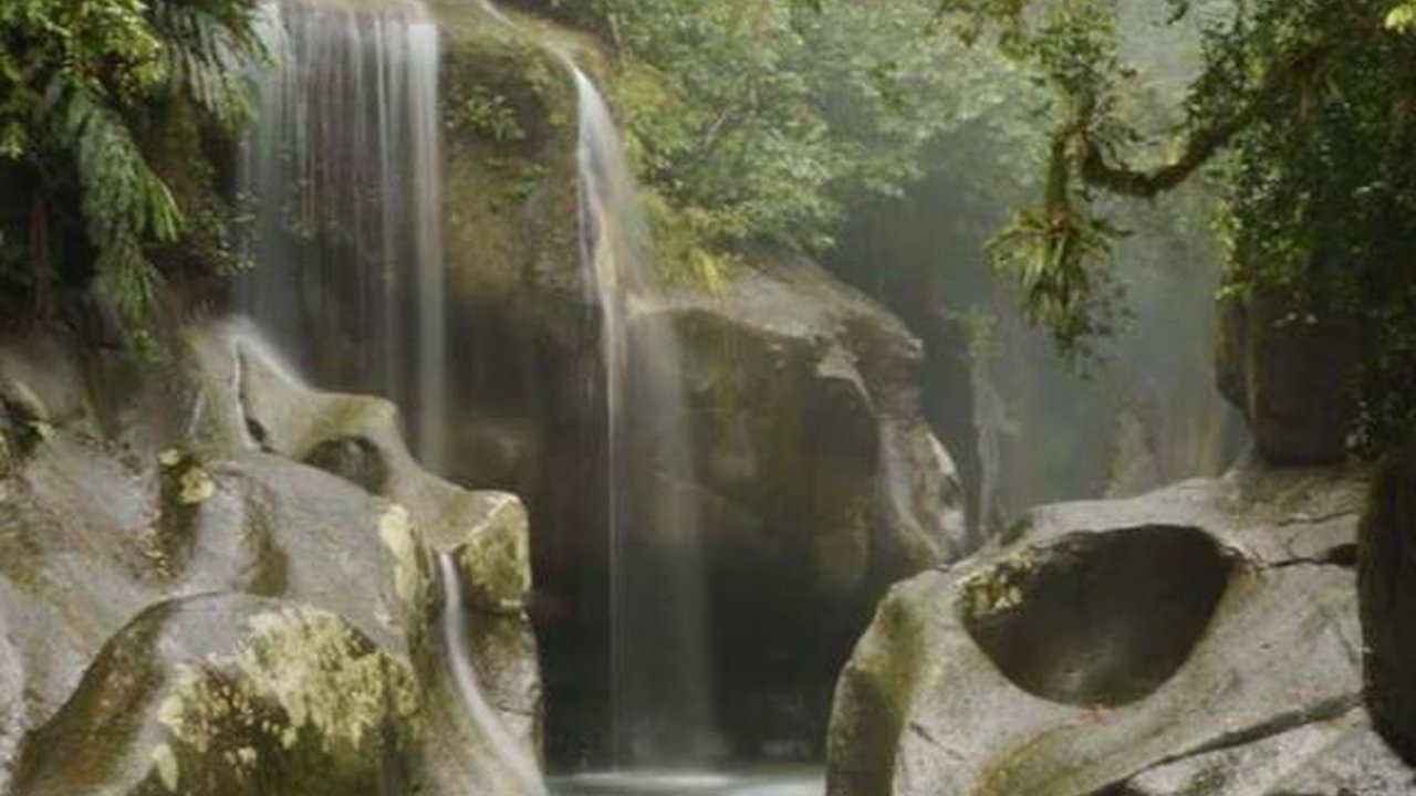 Mengunjungi Desa Wisata Nyarai di Padang Pariaman, Ada Air Terjun hingga Kawasan Konservasi Hutan