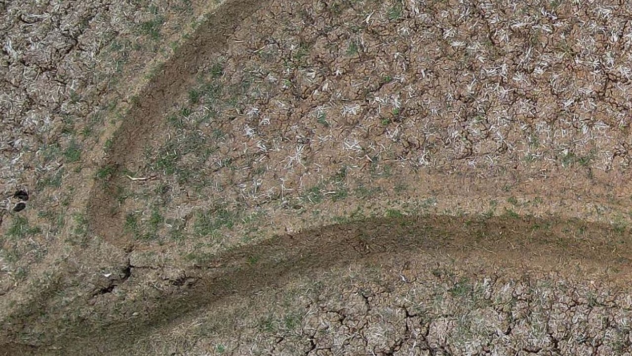 FOTO: Potret Dampak Kemarau Panjang di Kabupaten Bekasi, Sawah Kering Kerontang hingga Warga Berebut Air