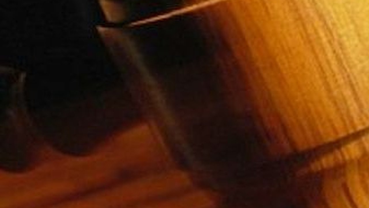 Pemilik Anjing Bogel Dituntut 2,5 Tahun Penjara