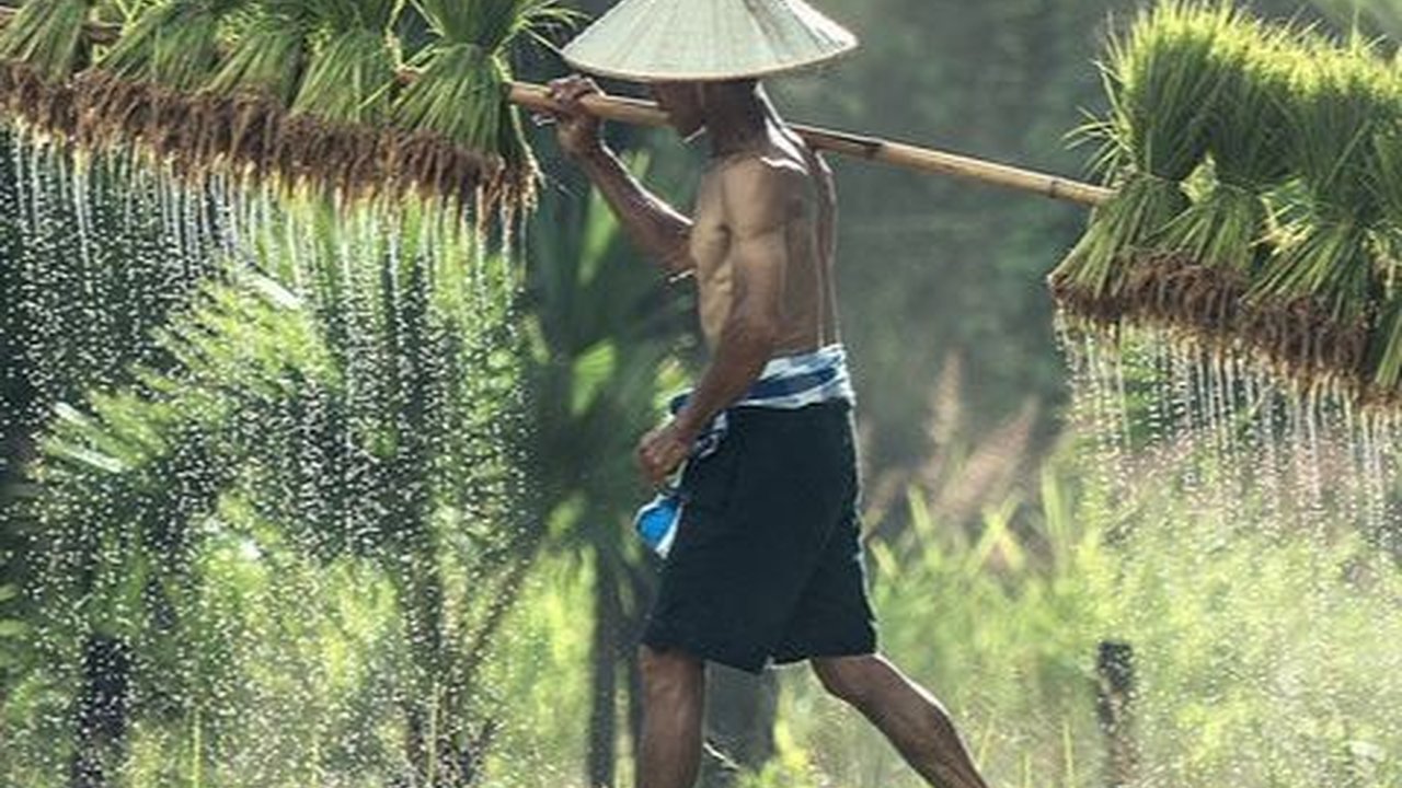 Sejarah Program Makmur yang Dicetuskan Erick Thohir, Kini Sudah Diikuti 90.632 Petani