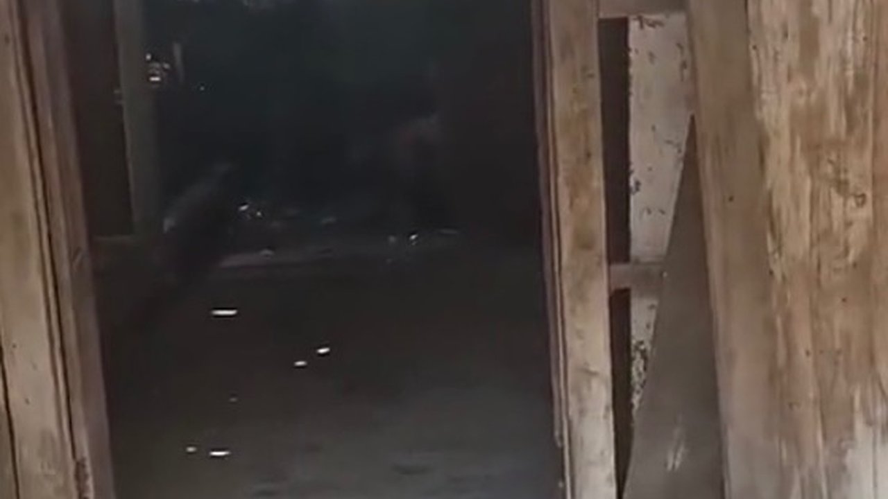 Viral Rumah Dikira Tak Berpenghuni Ternyata Sempat Dapat Bantuan Bedah Rumah, Begini Penampakannya