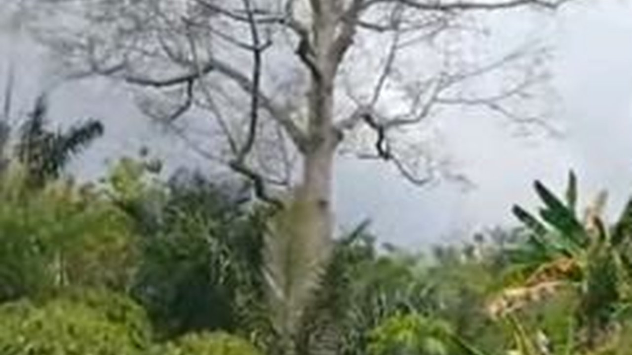 Desa Terpencil di Semarang Ini Dulunya Pernah Jadi Tempat Bertapa Filsuf Tanah Jawa, Begini Kondisinya