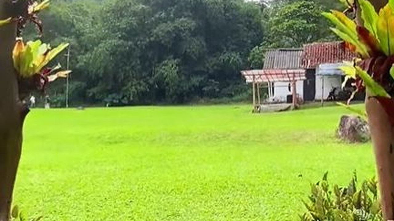 Ada Tempat Super Sejuk yang Bikin Tenang di Sukabumi, Rumputnya Hijau dengan Pemandangan Menakjubkan