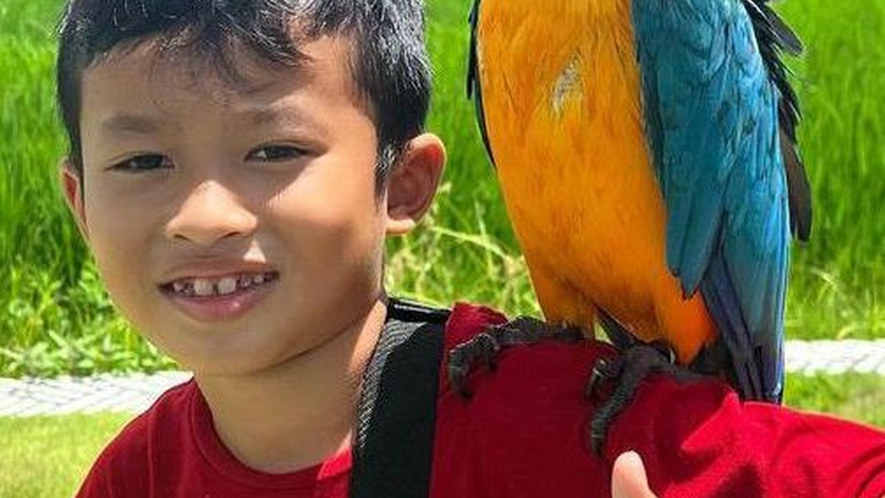 Miro Materazzi, Anak Hebat Okie Agustina dan Gunawan Dwi Cahyo yang Punya Banyak Prestasi
