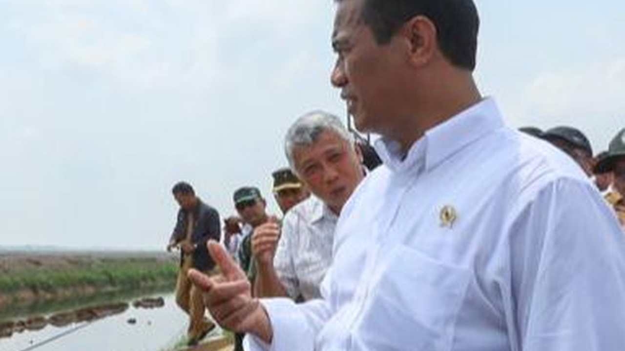 Mentan Targetkan Optimasi Lahan Rawa Naikkan Indeks Pertanaman di Kabupaten Ogan Ilir