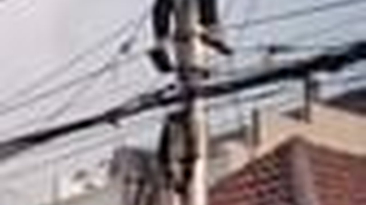 VIDEO: Petugas PLN Tersengat Listrik sampai Bergelantung di Tiang, Beruntung Cuma Luka Bakar