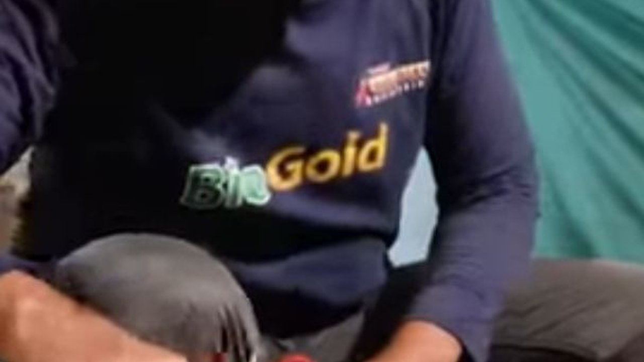 Kisah Sukses Heru, Petani Cabai dari Blitar yang Beromzet Ratusan Juta